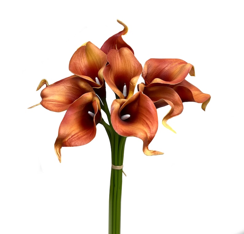 May include: A bouquet of artificial calla lilies in shades of orange and brown. The flowers have a smooth, petal-like appearance with white centers. The stems are green and bound together with a light brown band, set against a white background.