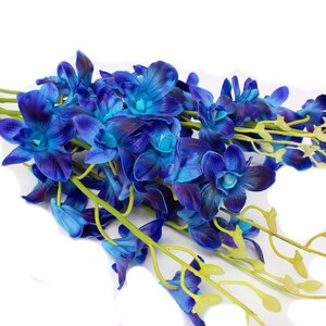 May include: A bouquet of blue and purple artificial orchids with green stems. The orchids are arranged in a loose, natural-looking cluster.