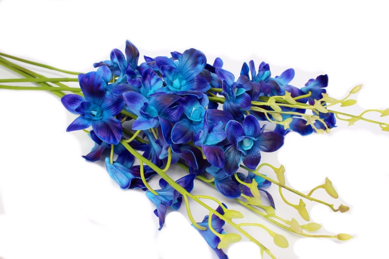 May include: A bouquet of blue and purple artificial orchids with green stems. The orchids are arranged in a loose, natural-looking cluster.