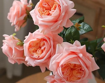 Chinese Julie. Climbing Rose Hanxian 涵仙，cut Rose. highly