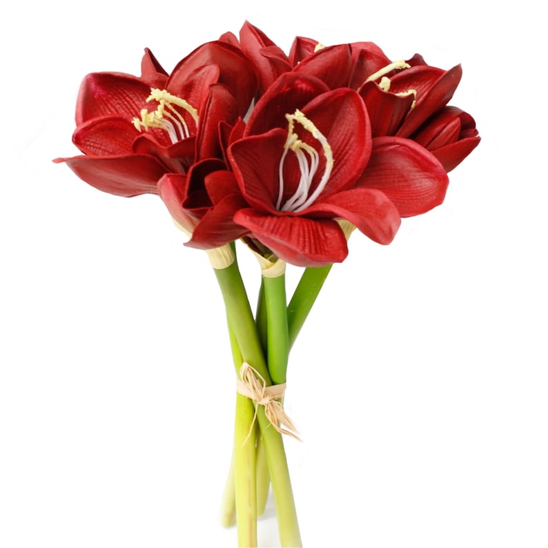 Premium Real Touch Artificial Amaryllis Bouquet 8 Blooms and Etsy