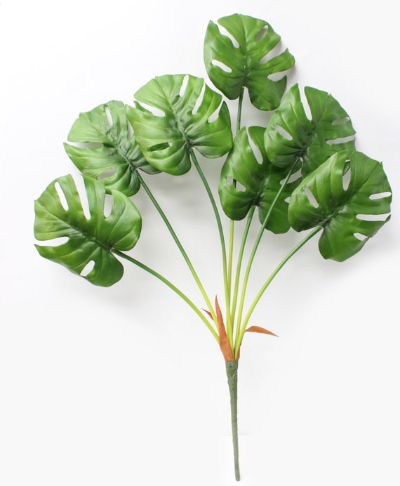 Real Touch Monstera Leaf Spray (set of 2): Tropical Home Decor - Etsy