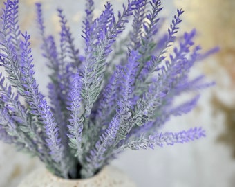 Pack of 6 Bushes-Frosty lavender bush