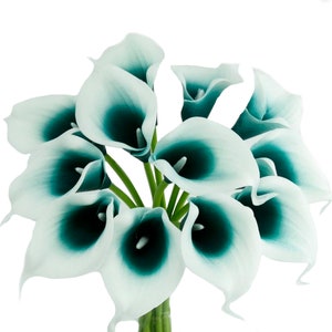 May include: A bouquet of artificial calla lilies featuring trumpet-shaped blooms with a gradient color transition from white at the outer edges to a deep teal at the center. Each flower has a central spadix and is attached to green stems.