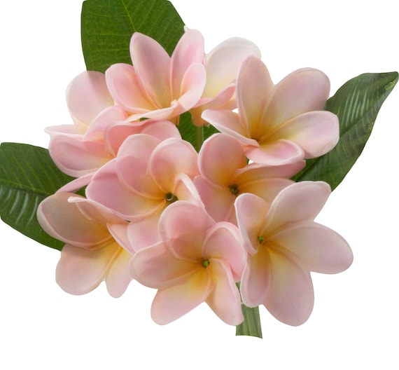 Blush Pink Frangipani Bouquet: Real Touch PU Flowers, DIY Wreath Centerpiece