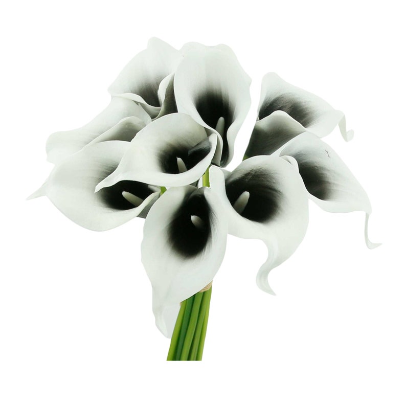 May include: A bouquet of white calla lilies with black centers. The flowers are arranged in a cluster and have long, green stems.