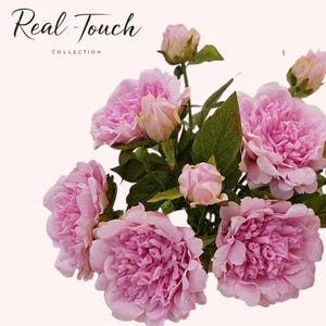 25.5&quot; Premium Real Touch Peony Stem – Lifelike Elegance for Luxury Interiors or wedding flowers