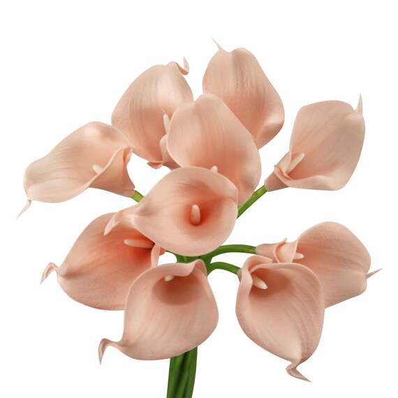 USA 1-DAY PROCESSING 10pc Real Touch calla lily Perfect small bloom for making boutonniere corsage bouquet centerpieces wreath
