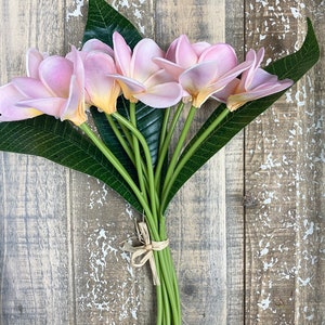 May include: A bouquet of pink and white plumeria flowers with green leaves, tied together with twine.
