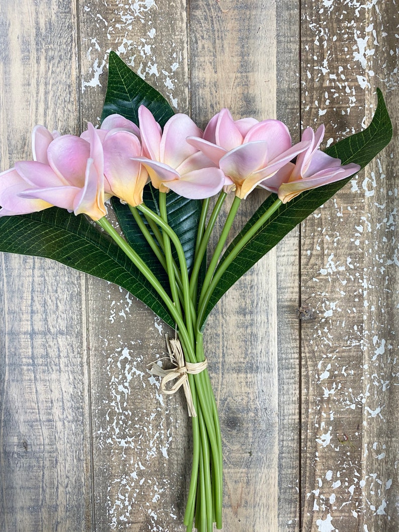 May include: A bouquet of pink and white plumeria flowers with green leaves, tied together with twine.