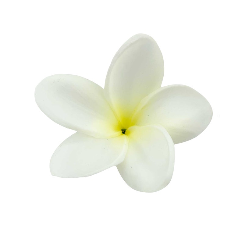 Shipping from GA, USA-Real touch Plumerias Frangipani flower head bloom no stem centerpiece corsage boutonniere arrangements Natural White