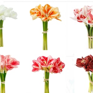 Premium real touch artificial Amaryllis-8 blooms & buds Perfect centerpiece bouquet home decoration flower Christmas Holiday Daily decor