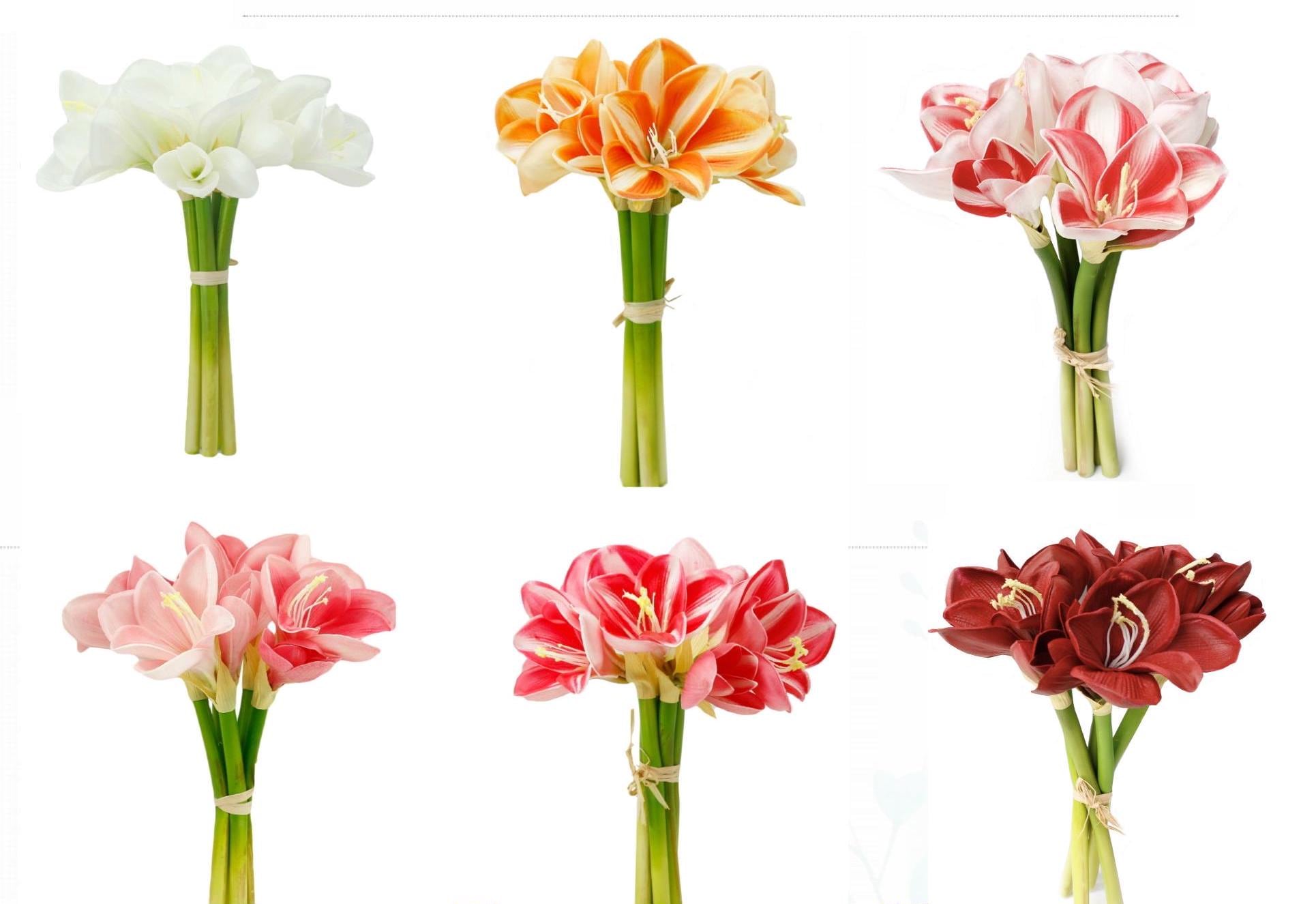 Wax amaryllis - Etsy 日本