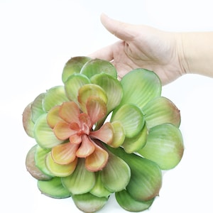 Large grey green Echeveria Artificial succulents sunroom kitchen decor