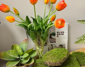 Pack of 6-Large Lifelike Mixed Sizes Artificial Moss pad