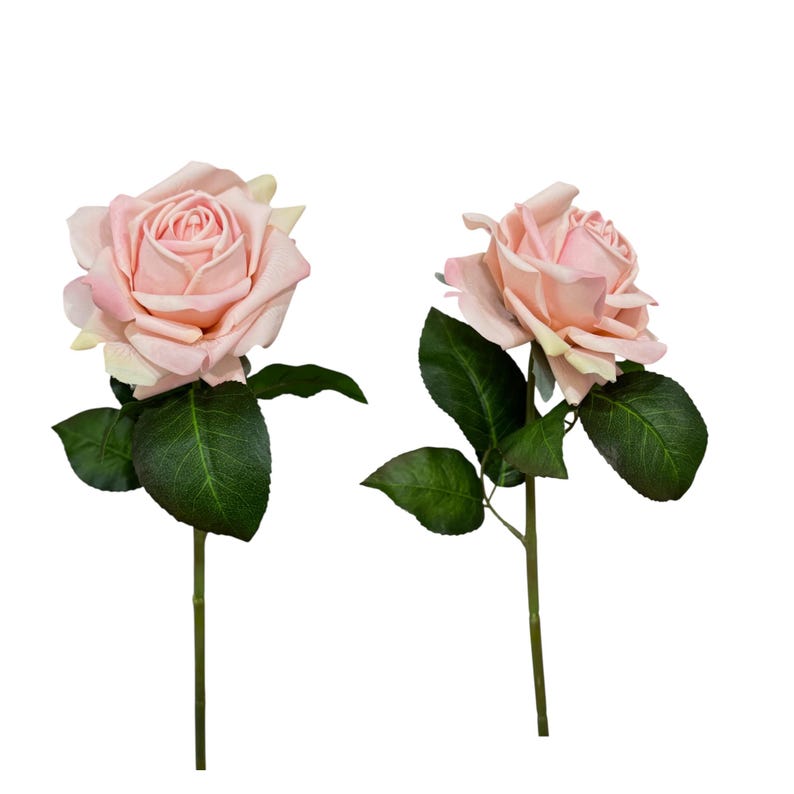 Two Roses Ultra Pack of 6- Ultra Realistic Real Touch Roses: 19