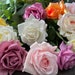 see more listings in the Roses & Peonies section