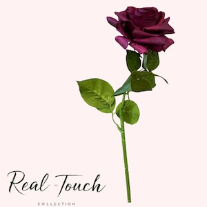 May include: A single deep purple rose with green leaves and a long stem. The rose is in bloom and has a velvety texture. The stem is green and has a few small leaves. The background is white.