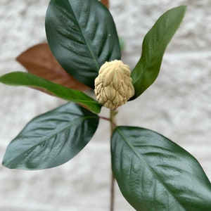 30&quot; Lifelike Natural Touch Magnolia Leaf Branches with Flower Bud- Green, High Quality Artificial Plant