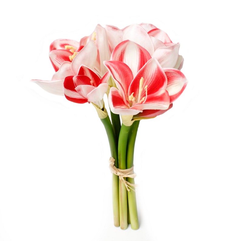 Premium Real Touch Artificial Amaryllis Bouquet 8 Blooms and Etsy