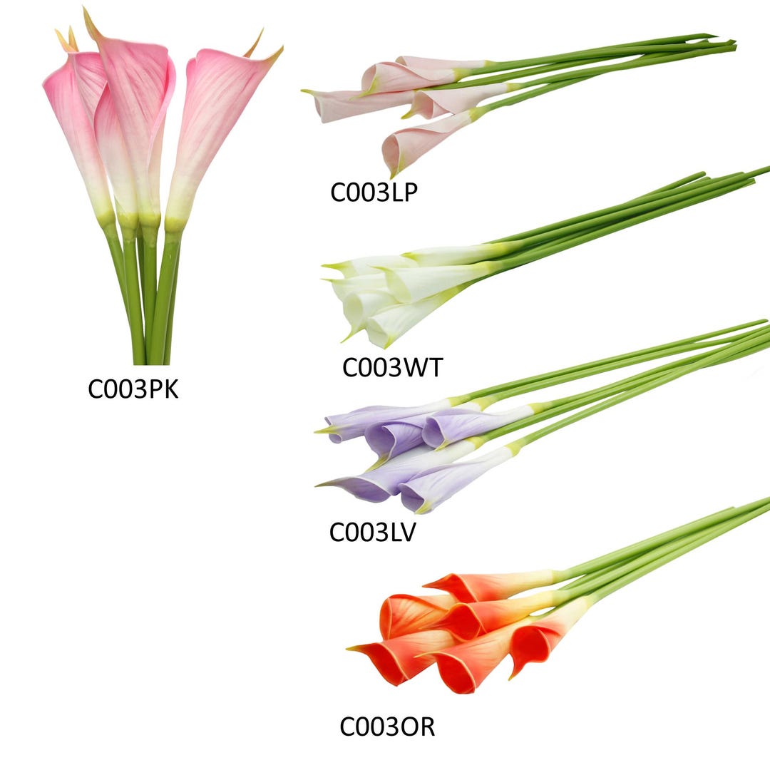Pack of 6 -24