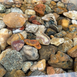 Peut inclure: Gros plan sur une collection de galets et de pierres de différentes tailles et formes. Les couleurs varient du marron au gris en passant par l'orange et le beige. Certaines pierres présentent des motifs et des textures.