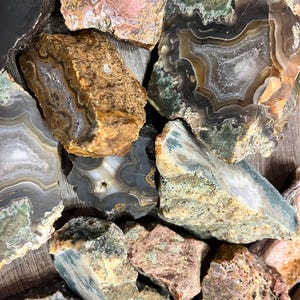 Pu&ograve; includere: Una collezione di fette di agata in varie tonalit&agrave; di verde, marrone e rosa. Le fette di agata presentano motivi e trame intricate.