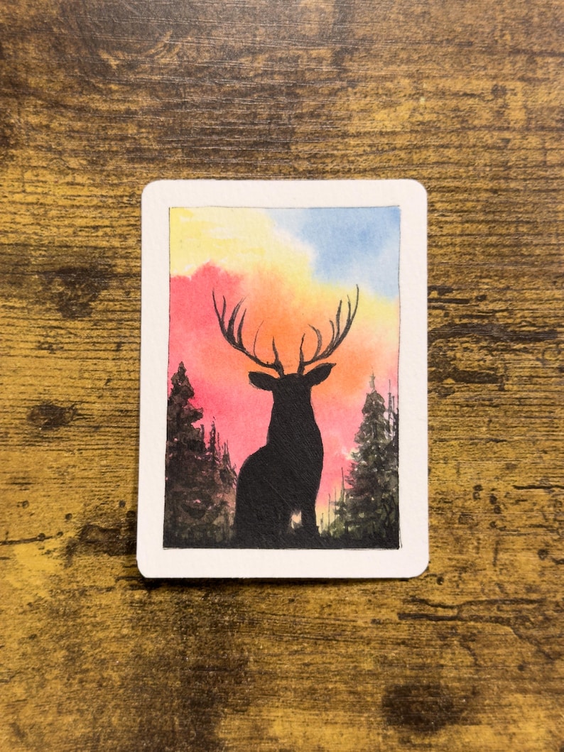 Pets, Wildlife and Original ACEO Art Cards | Collectibles - Etsy
