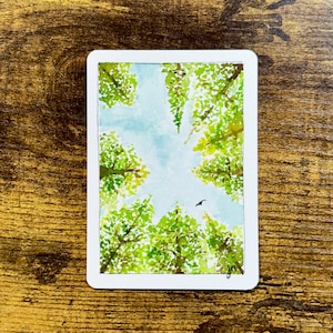 May include: A rectangular sticker featuring a watercolor painting of a forest canopy viewed from below. The artwork displays vibrant green leaves against a pale blue sky, with a small black bird silhouette in the center and initials in the corner.