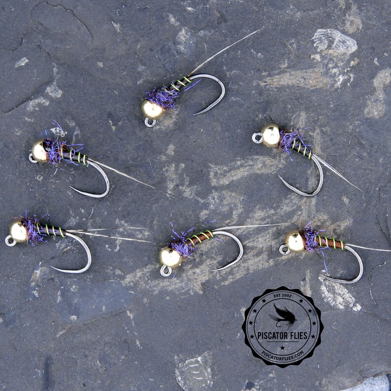 6 Brownline Nymph Fishing Flies Euro Nymphs Tungsten Bead Head Etsy