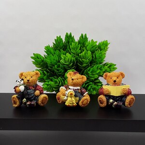 Peut inclure: Trois ours en peluche bruns portant des tenues différentes. L'ours à gauche tient un petit panda noir et blanc. L'ours du milieu tient un petit poussin jaune. L'ours à droite tient un livre. Les ours sont assis sur une étagère noire devant un buisson vert.