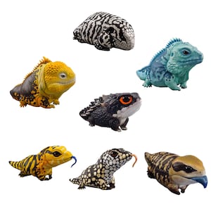 Resin Lizard | Chamaeleonidae models | Cyclura lewisi | Varanus giganteus | Tilique Scincoides | Conolophus Subcristatus
