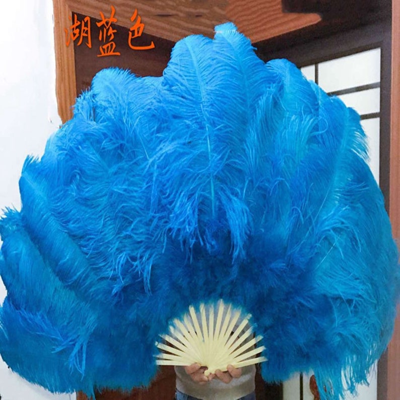 Feather Fan Dance Costume Set Etsy