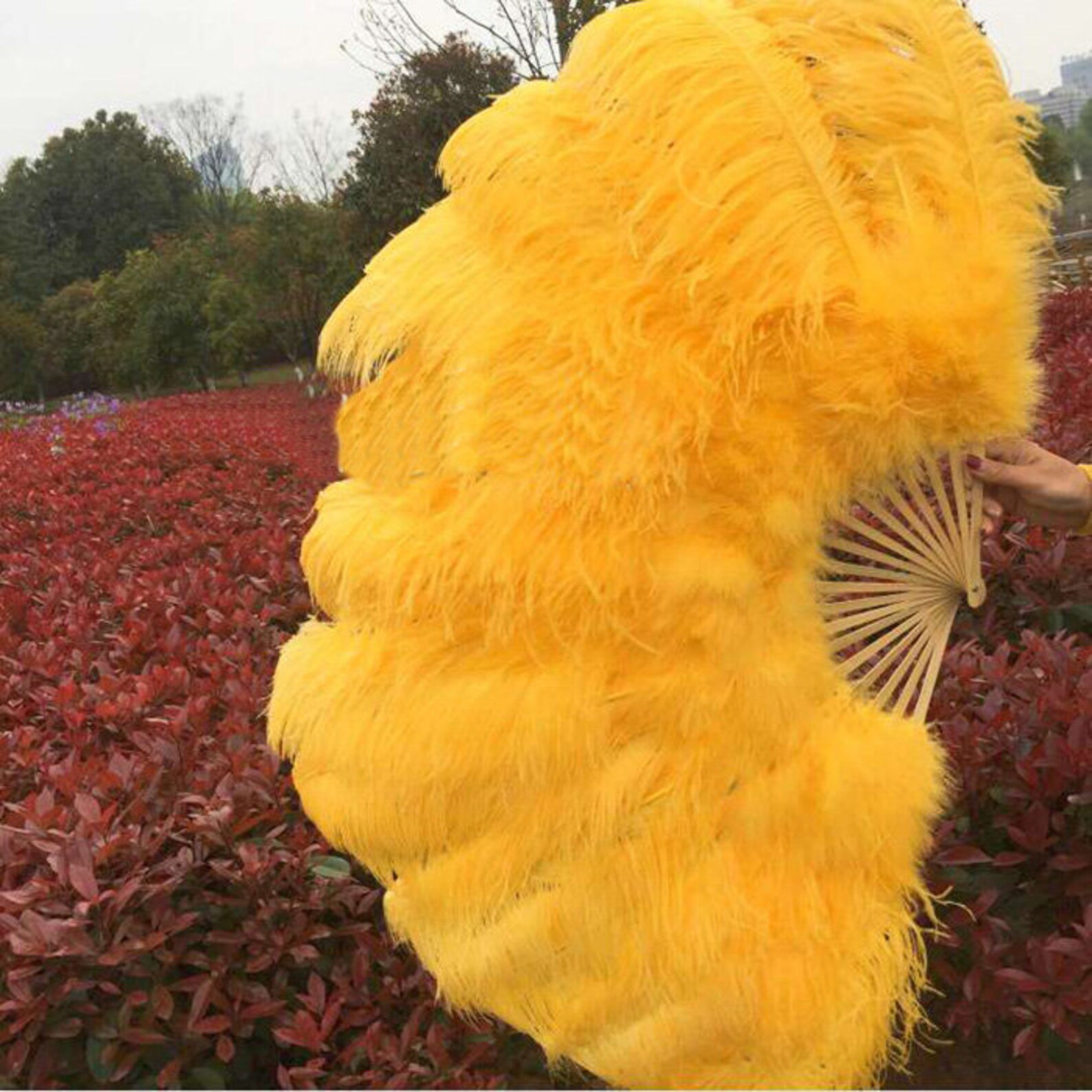 Feather Fan Dance Costume Set Etsy