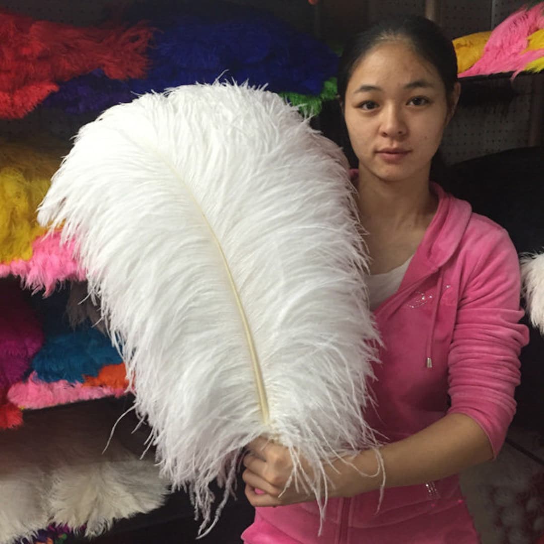 Feather Dance Costume Set Cosplay Wedding Etsy