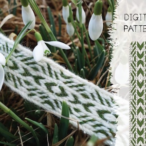 May include: A digital pattern for weaving a green and white chevron design. The pattern is shown on a woven band, with snowdrops in the background. The text "DIGITAL PATTERN" is in the top right corner of the image.