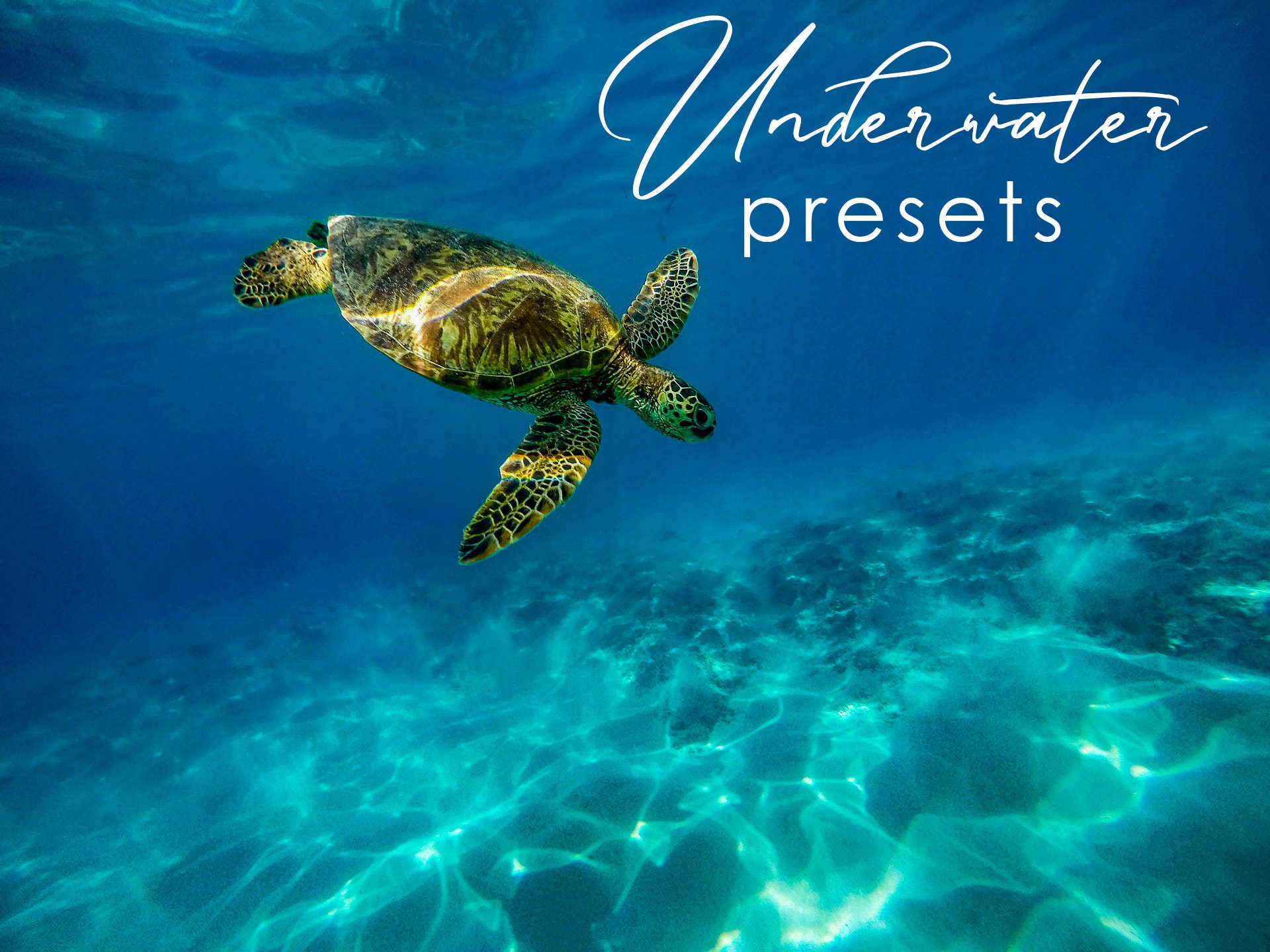 5 Preajustes móviles Lightroom UNDERWATER Influencer Lightroom Presets mobile presets California SUN SEA