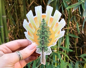 Pine Tree and Sunburst Sticker | nature inspired clear vinyl decal for cars, phone cases, computers, and water bottles