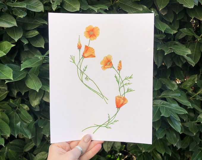 California Poppy Flower Art Print | botanical orange watercolor wildflowers, boho nursery decor