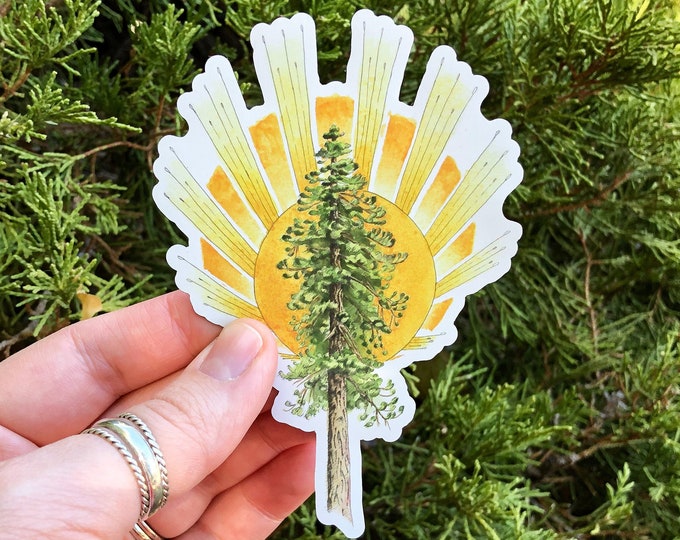 Ponderosa Pine Tree and Sunburst Magnet, inspired by Paradise, California
