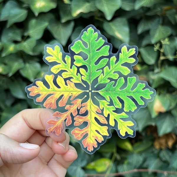 Oak Tree Leaves Sticker | California nature fall autumn clear vinyl decal for cars, computers, cell phone cases, water bottles