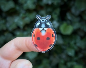 Mini Ladybug Sticker | red lucky watercolor decal | clear vinyl decal for cars, computers, cell phone cases & water bottles