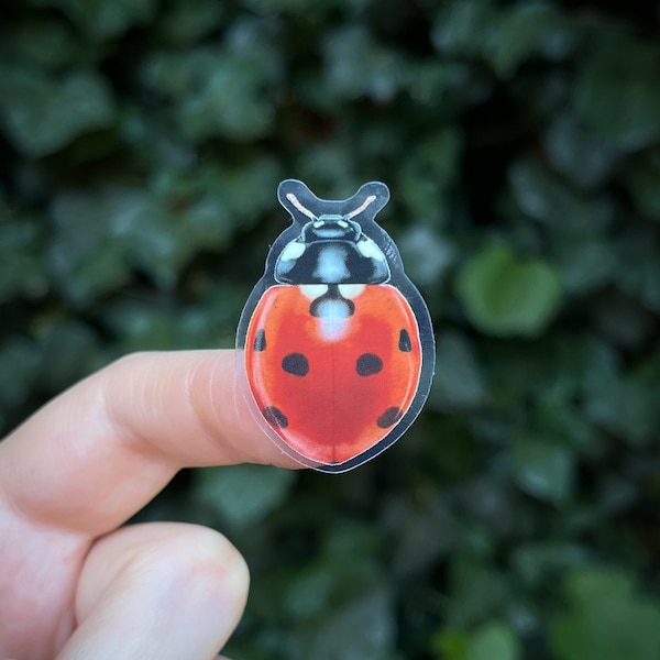 Small Ladybug Sticker | red lucky watercolor decal | clear vinyl decal for cars, computers, cell phone cases & water bottles