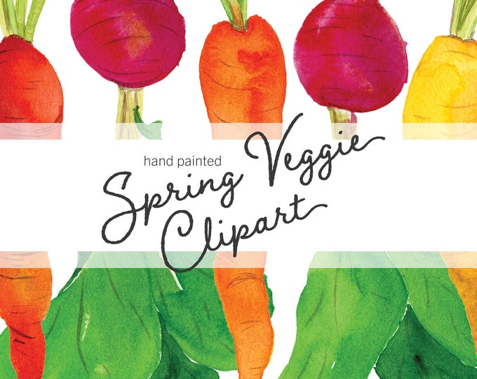 Watercolor Vegetable Clipart, carrot radish clip art, spring veggie png, vegetable garden printable digital download