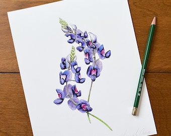 Lupine California Wildflower Art Print | Texas bluebonnet, botanical purple watercolor wildflowers, boho nursery decor