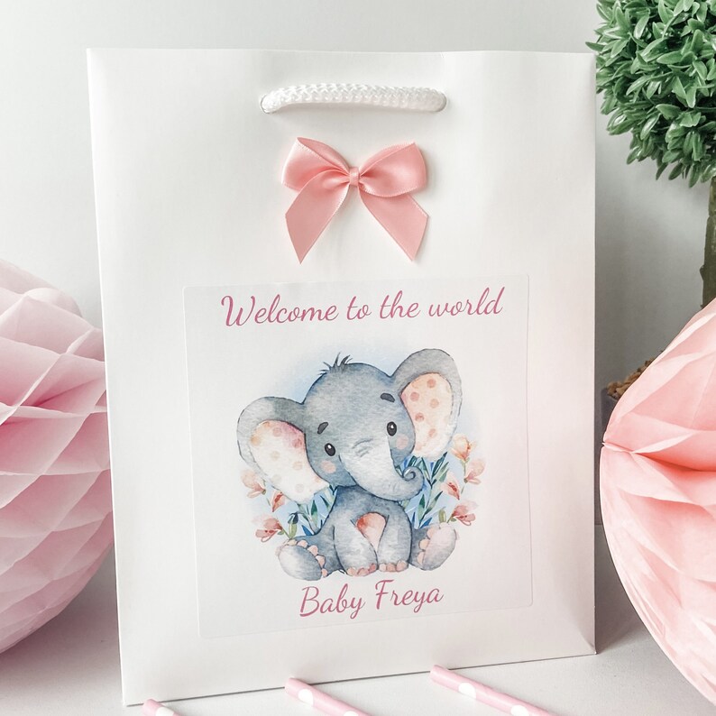 Personalised Congratulations New Baby Girl Gift Bag Etsy UK