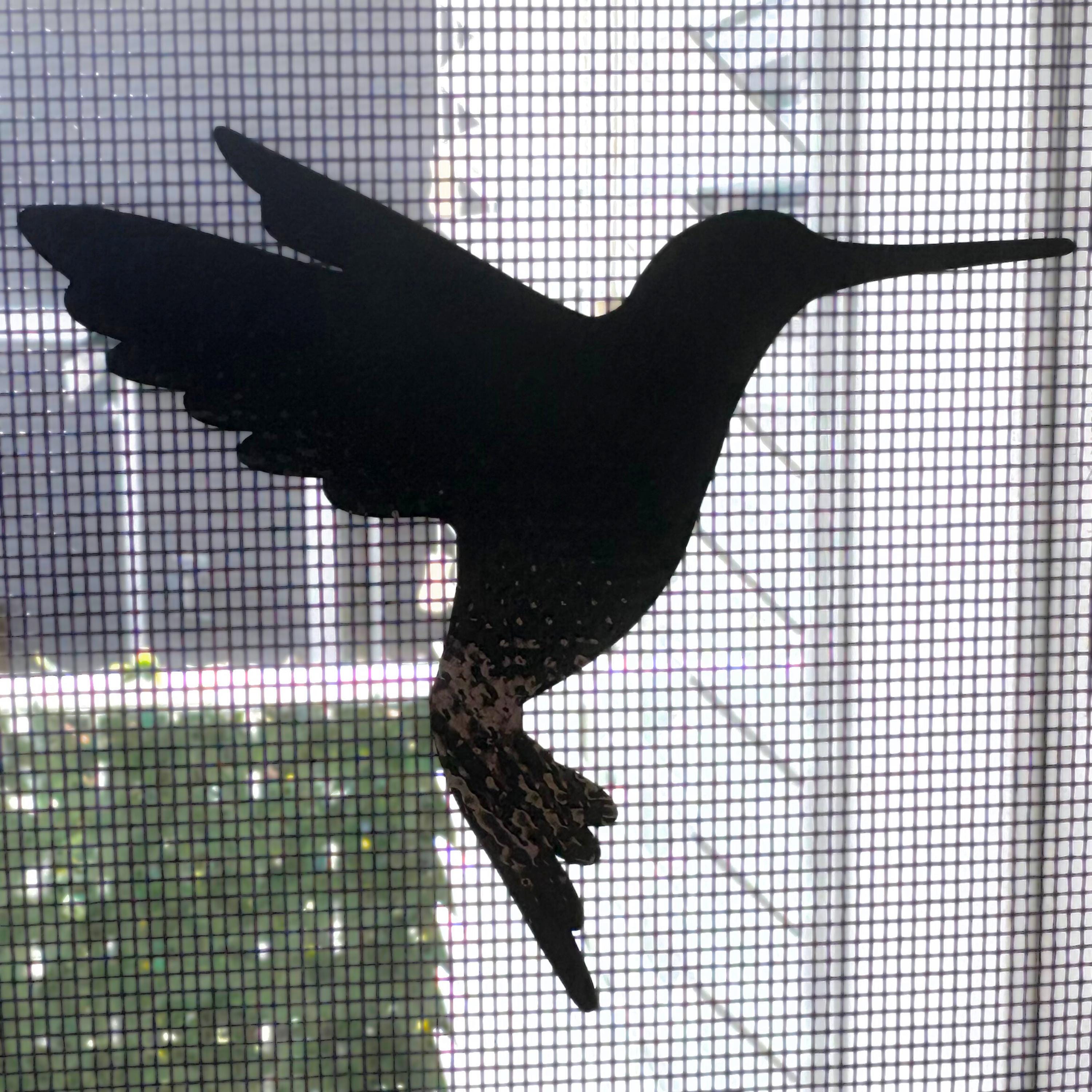 Hummingbird Retractable Screen Door / Window Screen Decals - Oracal 751 ...