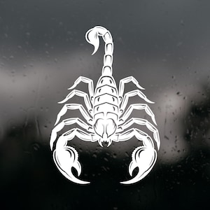 May include: A white vinyl decal featuring a detailed graphic illustration of a scorpion with its tail curved upward, eight legs extended to the sides, and two large pincers positioned at the bottom, presented as a solid silhouette design.