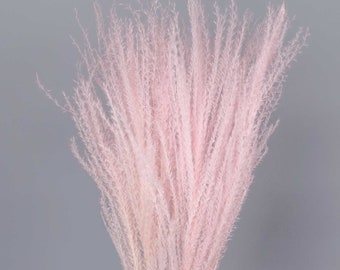 10pcs Natural Dried Pampas Reed Grass | High Quality Flowers | DIY Flower Arranging Decor | Dried Preserved Flowers