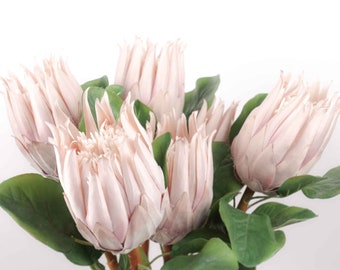 AUSTRALIAN NATIVE FLOWER TEAL LEUCOSPERMUM FLOWERS STEM ARTIFICIAL FAKE FLOWER